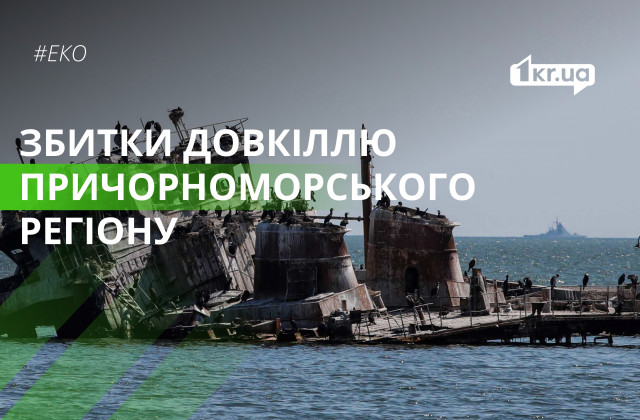 Почти 305 миллиардов гривен нанесенного ущерба окружающей среде Причерноморского региона Украины