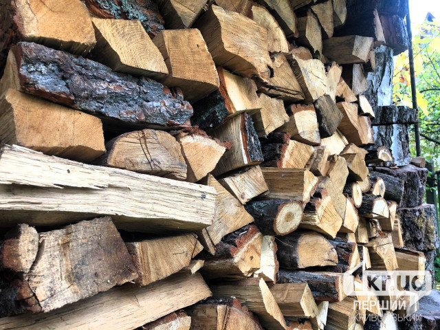 Продавала неіснуючі дрова: на Дніпропетровщині викрили ймовірну шахрайку