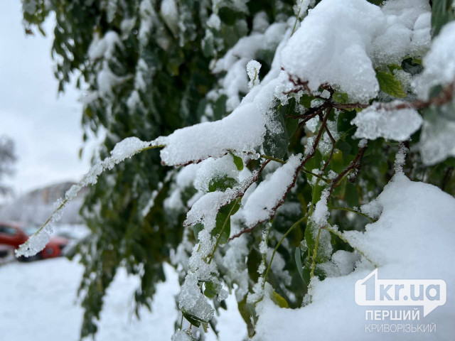 Дощ та сніг: погода у Кривому Розі 22 листопада