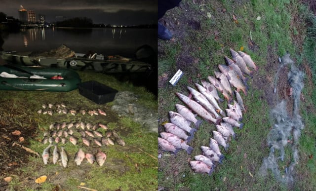 На Днепропетровщине браконьеры наловили 32 килограмма рыбы на более 150 тысяч гривен убытков