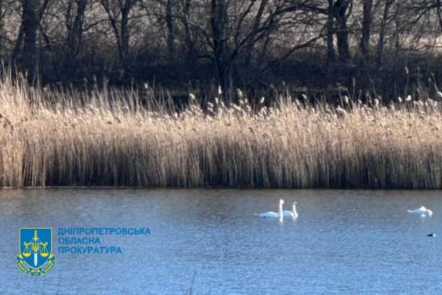 На Днепропетровщине громаде вернули водохранилище стоимостью 1,7 миллиарда гривен