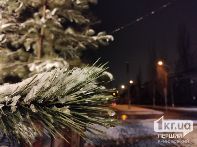 Начало зимы: погода в Кривом Роге 1 декабря