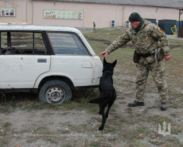 Євросоюз передав Україні міннорозшукових собак