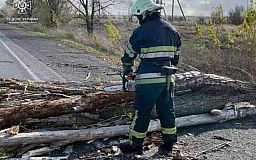 Спасатели ликвидируют последствия непогоды в Криворожском районе