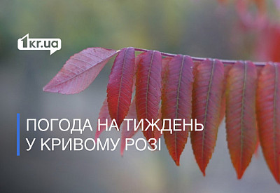 Фото к новости Главное фото новости