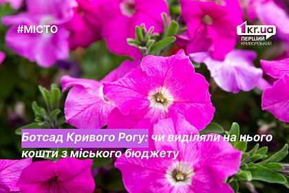 Выделялись ли средства из городского бюджета на Криворожский ботсад в 2022 году