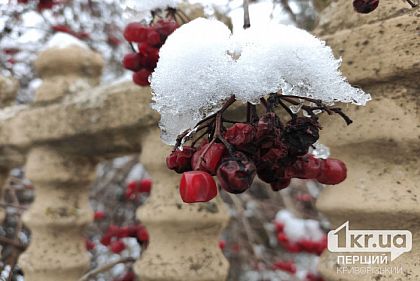 В Украину пришел холод поздней осени: синоптикиня сообщила, куда постепенно заходит мокрый снег