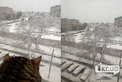 В Кривом Роге выпал снег
