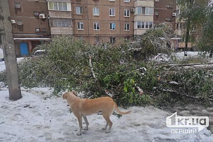Ликвидация непогоды: энергетики вернули свет в 292 населенных пунктах Днепропетровщины