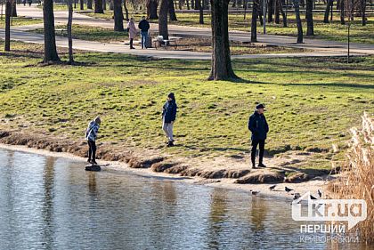 В Кривом Роге отменили тендер на 387 миллионов гривен: на что хотели потратить