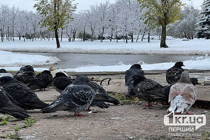В Днепропетровской области ожидается сильная метель