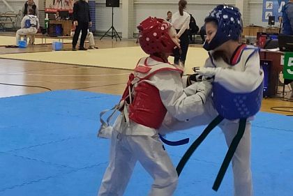 Криворожские тхэквондисты заняли призовые места на Турнире «Дети Украины»