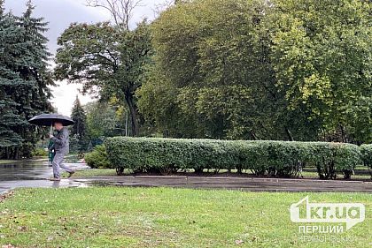 Криворожан предупреждают о сильных порывах ветра