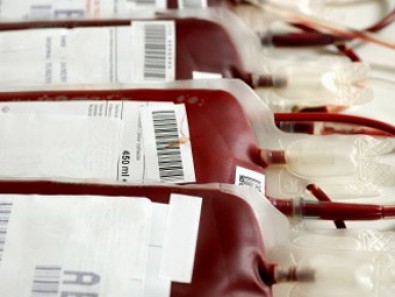 В Кривом Роге научились переливать кровь еще не рожденным детям
