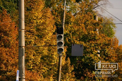 В Кривом Роге продолжат озеленение и установку звуковых устройств с секциями обратного времени на светофорах
