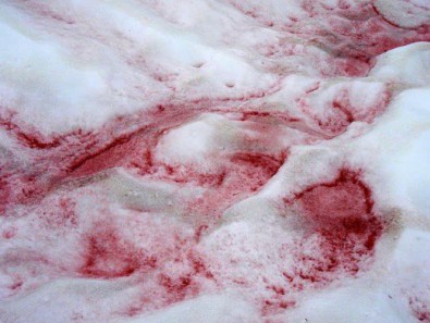 В Кривом Роге установили виновника появления красного снега
