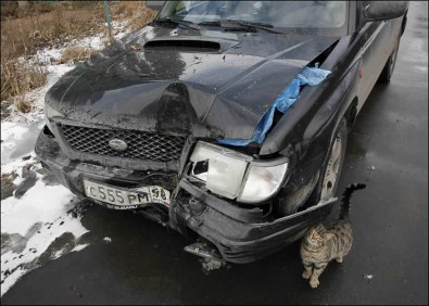 На Днепропетровщине бывший зэк угнал машину своего товарища и разбил ее об дерево