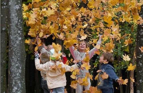 Во всех школах Украины, с 24-го октября, начались осенние каникулы.