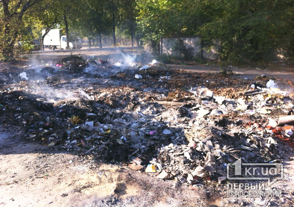 Работники ЖЭКа не спешат убирать мусор в жилых районах города