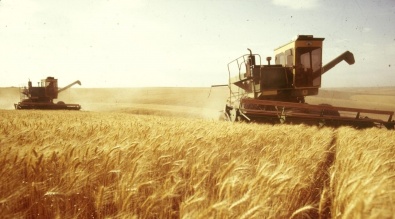Украина планирует запретить ввоз российского зерна
