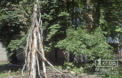 Свидетели событий: «Поваленные столбы и деревья лежат прямо у стен ЖЭКа»