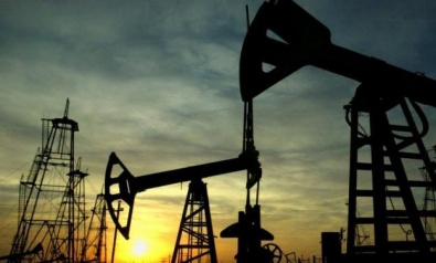 НАК «Нафтогаз Украины» открыла собственное месторождение нефти в Украине