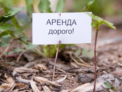 В Украине хотят ввести минимальный срок аренды земли