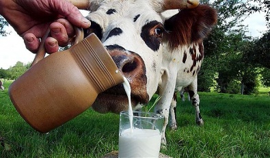В Украине запретят молокосодержащие продукты
