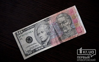 Доллар не будет стоить 10-12 гривен, - эксперт