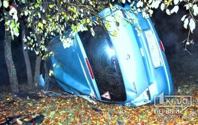 Смертельное ДТП в Кривом Роге: Молодой водитель «Suzuki» скончался на месте, пассажир травмирован  (ПОДРОБНОСТИ)