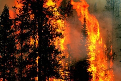 На всей территории Днепропетровской области наблюдается 4-й класс пожарной опасности