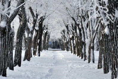 Зима в Украине продержится до конца апреля