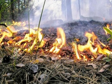 В Украине продолжает держаться пожароопасность 5 класса