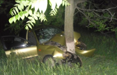 Под Кривым Рогом водитель «Daewoo» врезался в дерево. Водитель погиб на месте, 4 человека травмированы