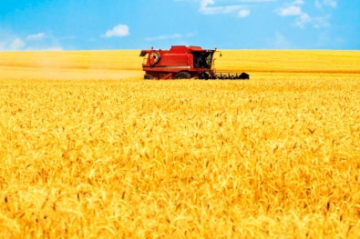 В Украине собираются ликвидировать Аграрный фонд