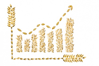 Украина - самый перспективный производитель аграрной продукции в мире,- Присяжнюк