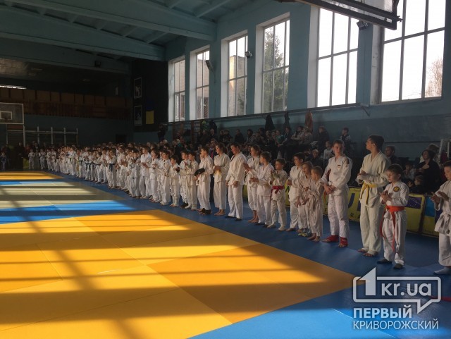 На Чемпионате Украины по джиу-джитсу криворожане заняли призовые места