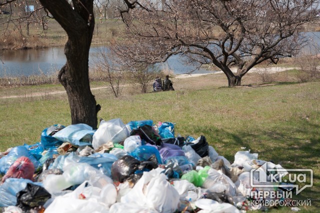 Водителей, которые везли в Кривой Рог львовский мусор, задержали полицейские
