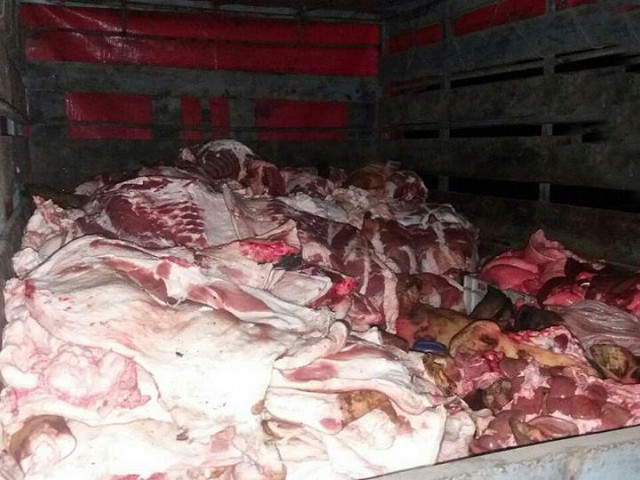 В Кривом Роге водитель перевозил 800 килограммов свинины без документов