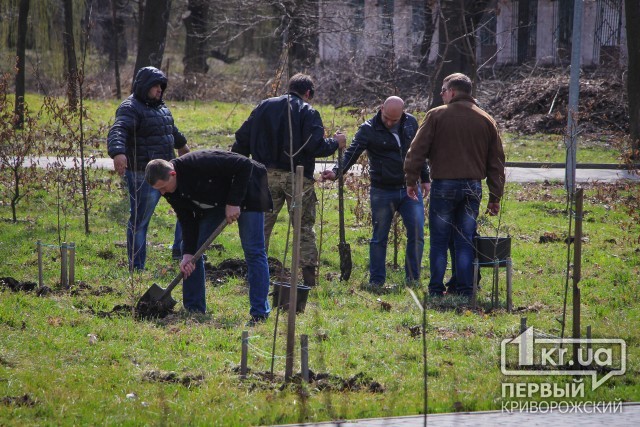 Криворожане высадили деревья в память o погибших в зоне АТО земляках