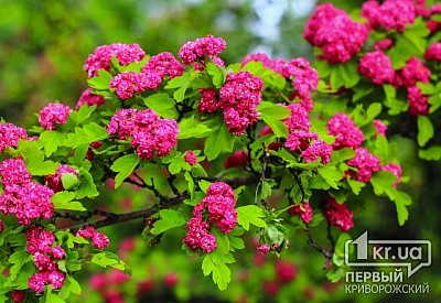 Фото к новости Главное фото новости