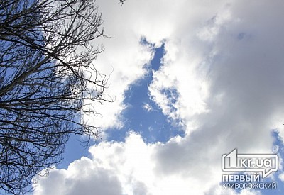 Фото к новости Главное фото новости