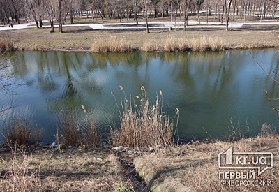 Фото к новости Главное фото новости