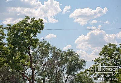 Фото к новости Главное фото новости
