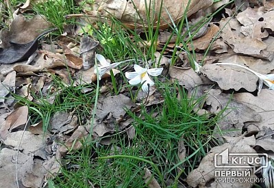 Фото к новости Главное фото новости