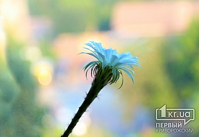 Фото к новости Главное фото новости