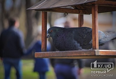 Фото к новости Главное фото новости