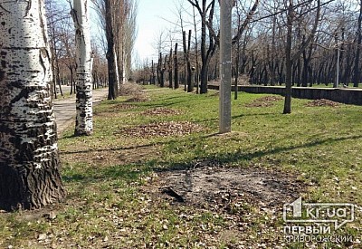 Фото к новости Главное фото новости
