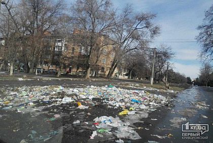 «Стіхійне звалище утворюють самі мешканці», - заступник голови Покровської райради Кривого Рогу