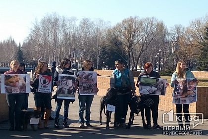 В Кривом Роге проходит митинг в поддержку ужесточения ответственности за живодерства